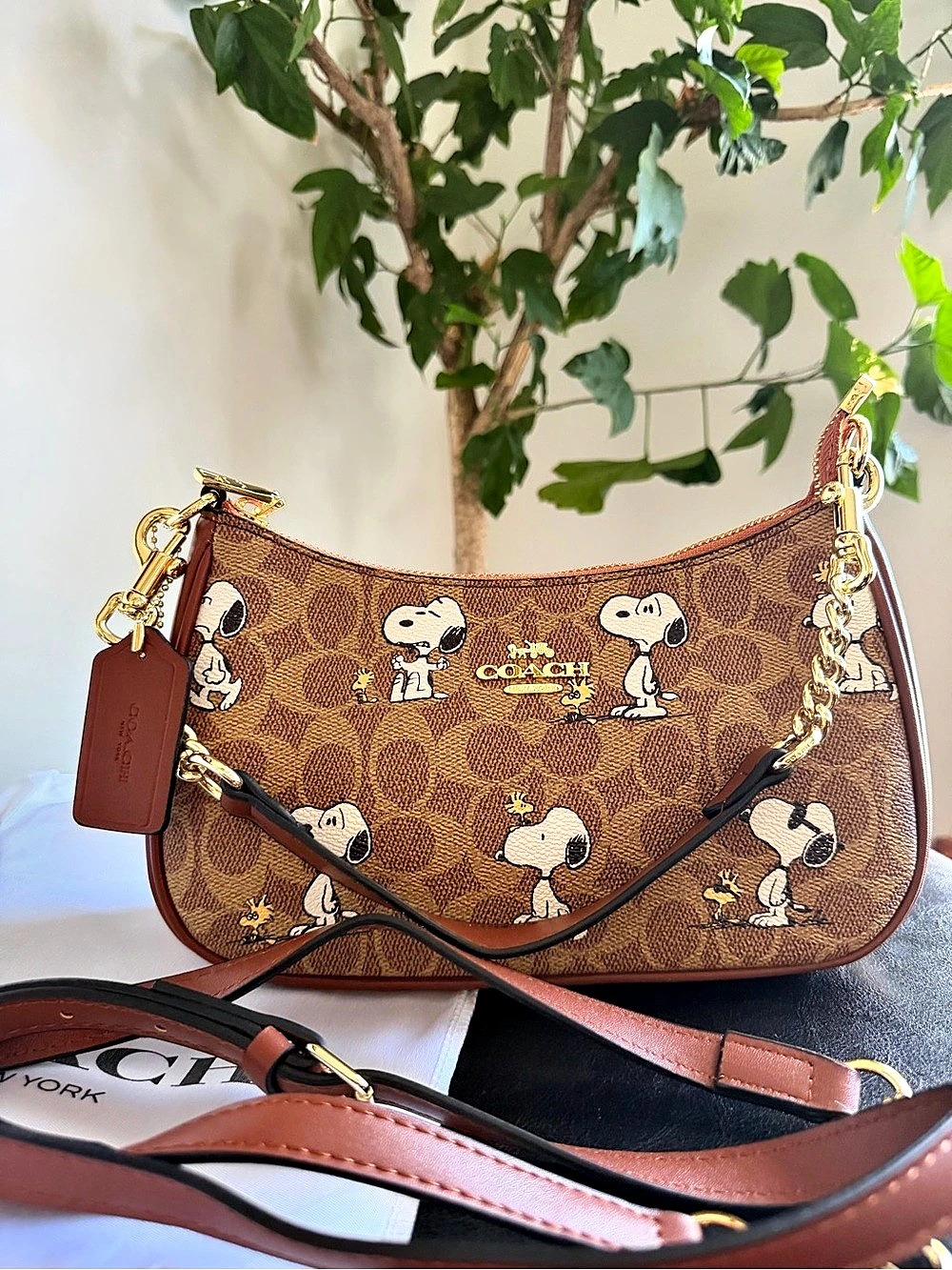 Coach x Peanuts Teri Shoulder Bag in Signature Canvas with Snoopy Print Snoopy